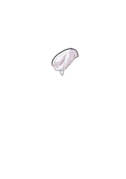 PAIN ABSORBER D 無料立ち読み3