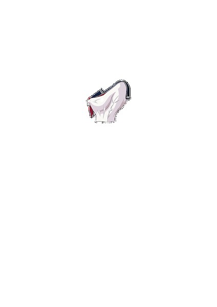 PAIN ABSORBER D 無料立ち読み5