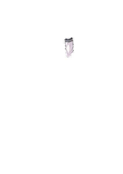 PAIN ABSORBER D 無料立ち読み29