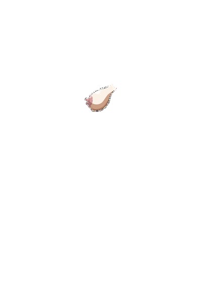 PAIN ABSORBER D 無料立ち読み32