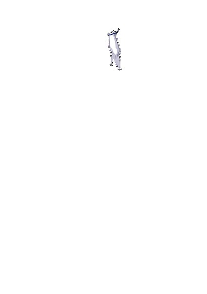 PAIN ABSORBER D 無料立ち読み42
