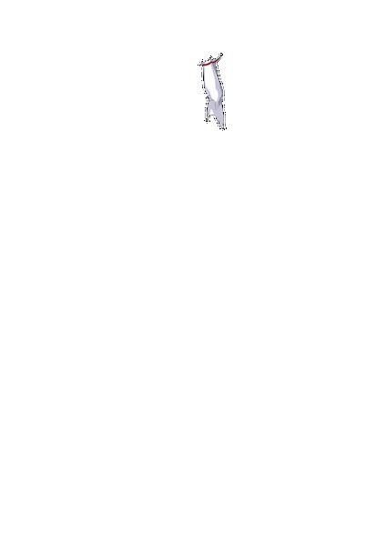 PAIN ABSORBER D 無料立ち読み43