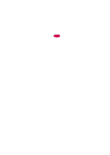 PAIN ABSORBER D 無料立ち読み60
