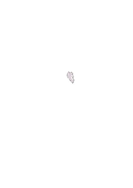 PAIN ABSORBER D 無料立ち読み84