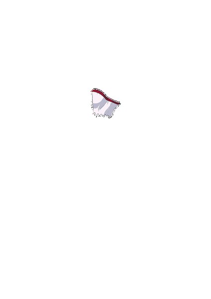 PAIN ABSORBER D 無料立ち読み95