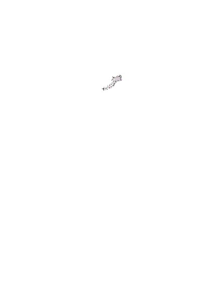 PAIN ABSORBER D 無料立ち読み101