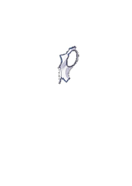 PAIN ABSORBER D 無料立ち読み109