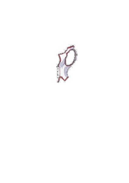 PAIN ABSORBER D 無料立ち読み110