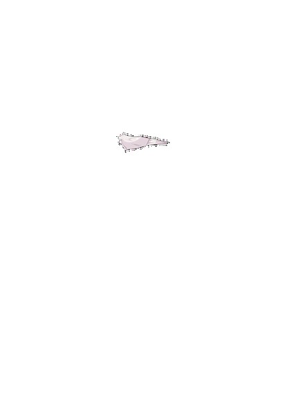 PAIN ABSORBER D 無料立ち読み152