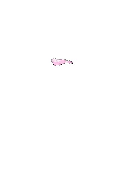 PAIN ABSORBER D 無料立ち読み153
