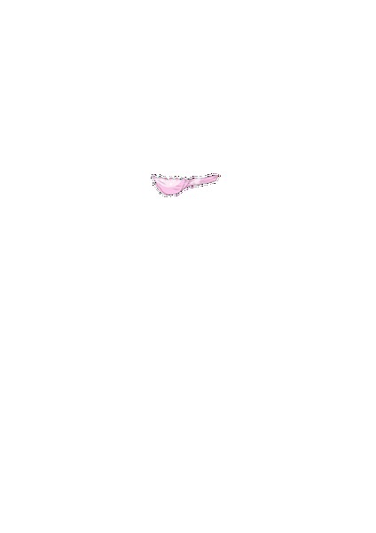 PAIN ABSORBER D 無料立ち読み156