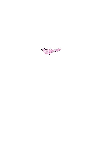 PAIN ABSORBER D 無料立ち読み157