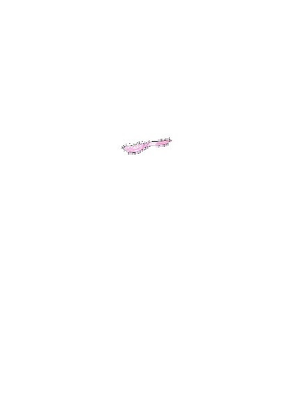 PAIN ABSORBER D 無料立ち読み158