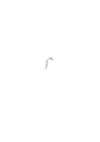 PAIN ABSORBER D 無料立ち読み164