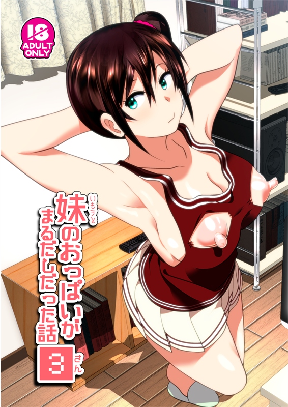 妹のおっぱいがまるだしだった話3 無料立ち読み1