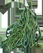 NoTearsRebirth 無料立ち読み217