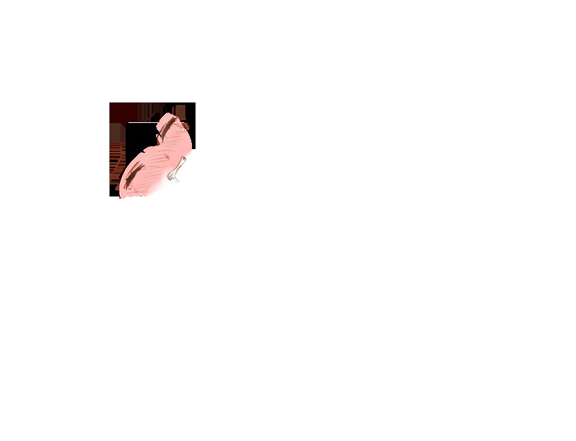 くノ一椿 無料立ち読み347
