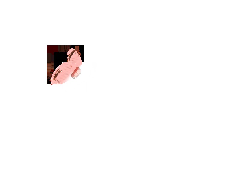 くノ一椿 無料立ち読み348