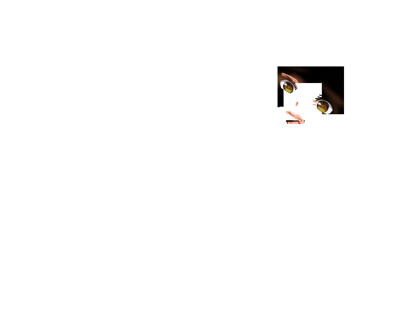 くノ一椿 無料立ち読み388