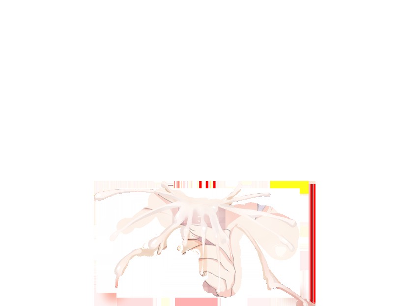 くノ一椿 無料立ち読み429