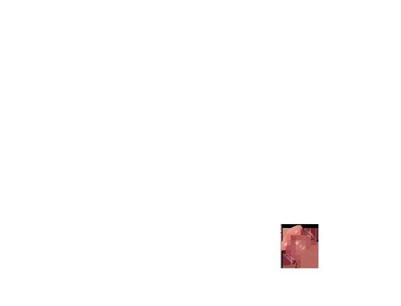 くノ一椿 無料立ち読み467