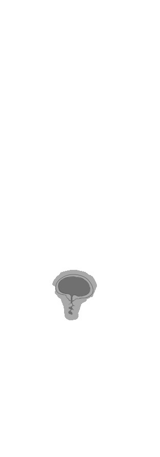 専属メイドとの30日間 無料立ち読み207